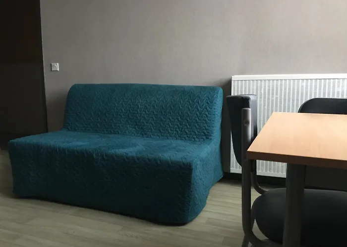 Stylish Studio With Kitchen Lille *